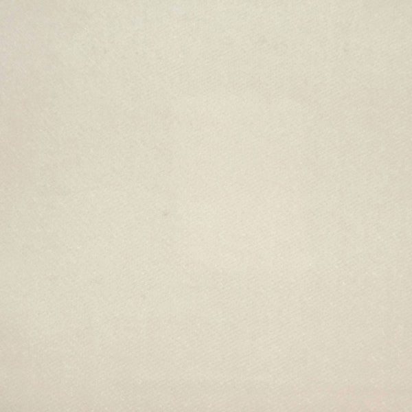 Cream Plush Velvet