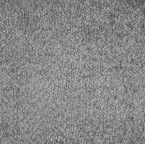 Grey Teddy Boucle